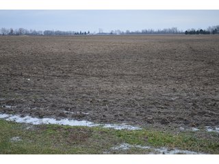 Property photo 34 - 175 Acres Offered in 5 Tracts - Tontogany, Ohio Farm Land Auction